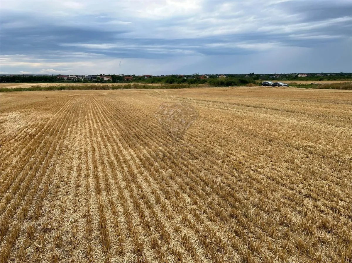Teren intravilan 7100 mp de vanzare in Paulesti, Cocosesti – ideal pentru locuinte P+2E - foto 5