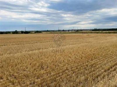 Teren intravilan 7100 mp de vanzare in Paulesti, Cocosesti – ideal pentru locuinte P+2E - foto 7
