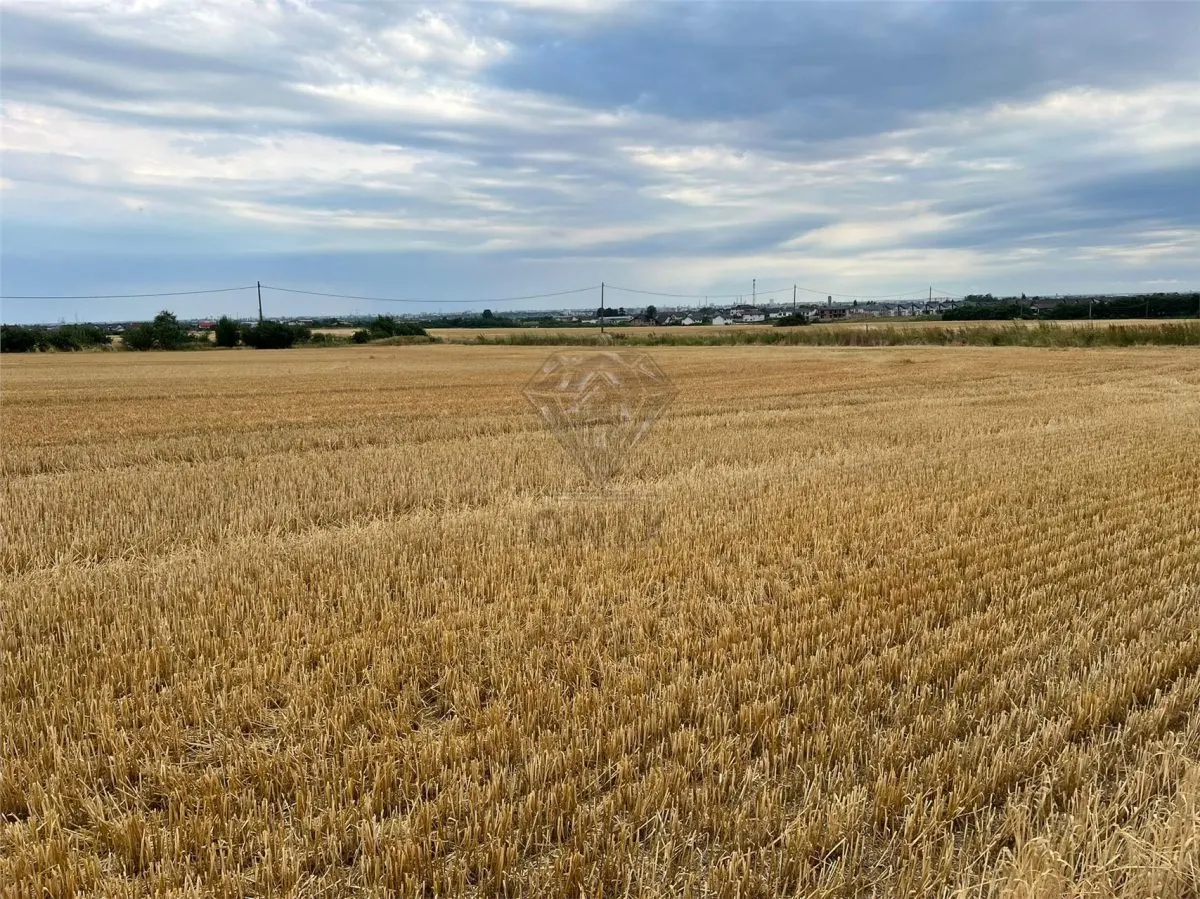 Teren intravilan 7100 mp de vanzare in Paulesti, Cocosesti – ideal pentru locuinte P+2E - foto 7