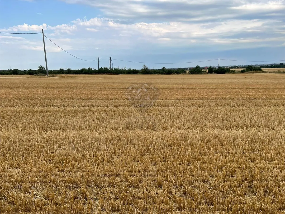 Teren intravilan 7100 mp de vanzare in Paulesti, Cocosesti – ideal pentru locuinte P+2E - foto 8