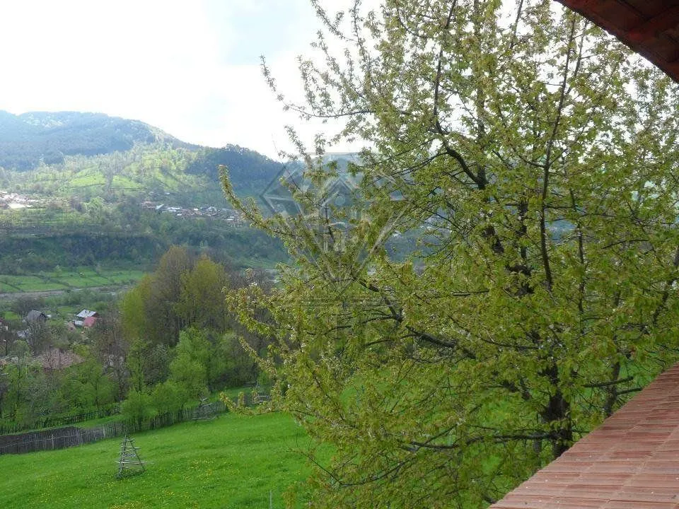 Vila deosebita cu 7 camere si 5 bai, 4290 mp teren, vedere panoramica â€“ Valea Doftanei - foto 12