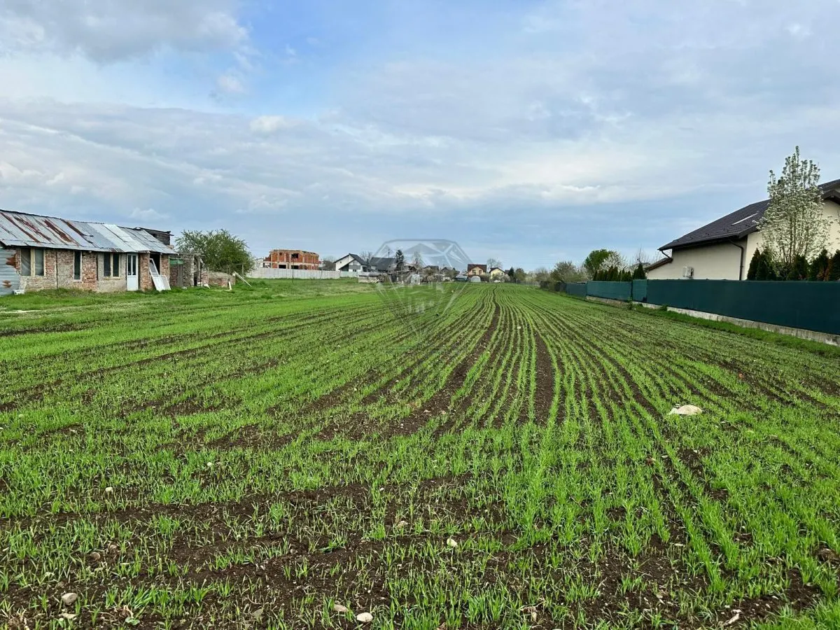TEREN INTRAVILAN STREJNICU - foto 1
