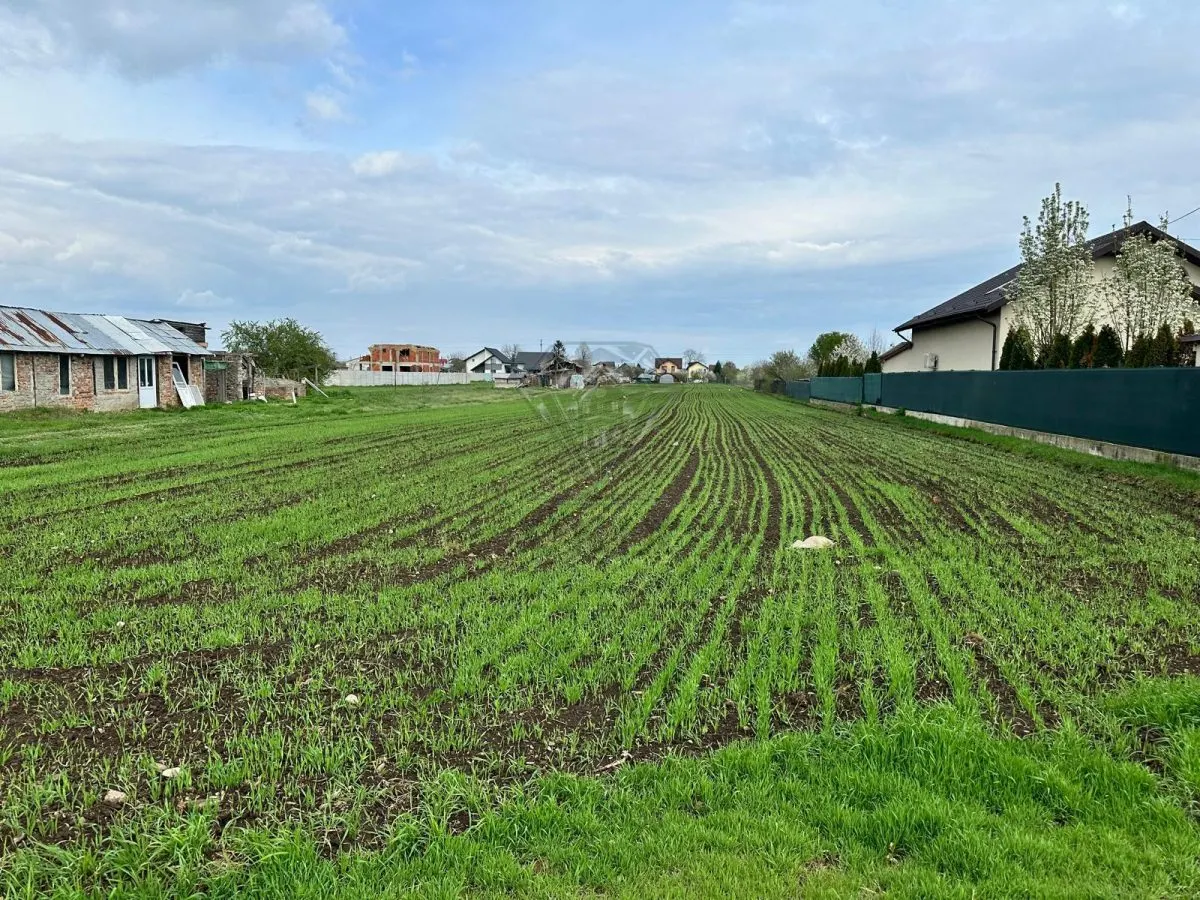 TEREN INTRAVILAN STREJNICU - foto 2