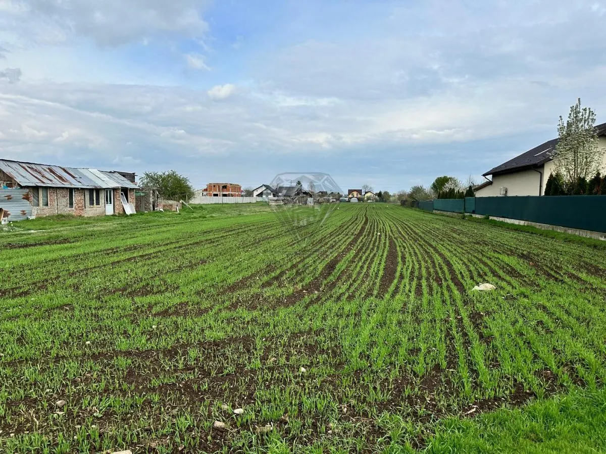 TEREN INTRAVILAN STREJNICU - foto 5