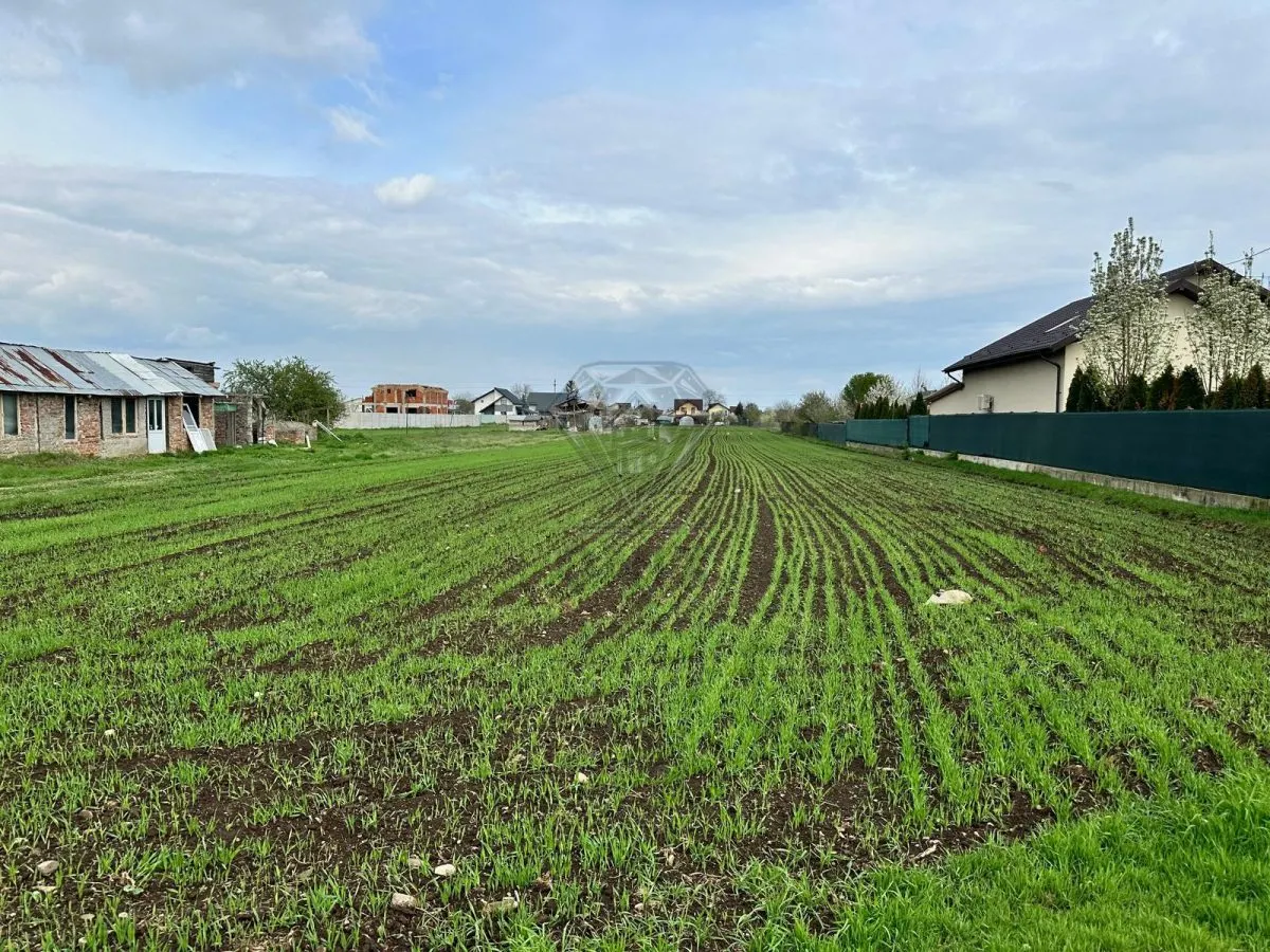 TEREN INTRAVILAN STREJNICU - foto 6