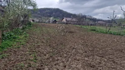 TEREN GURA VITIOAREI - foto 7