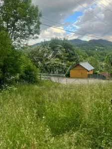 TEREN DE VANZARE VALEA DOFTANEI - foto 4
