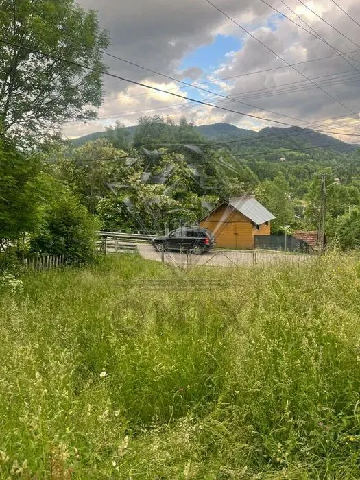 TEREN DE VANZARE VALEA DOFTANEI - foto 6