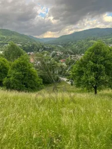 TEREN DE VANZARE VALEA DOFTANEI - foto 7