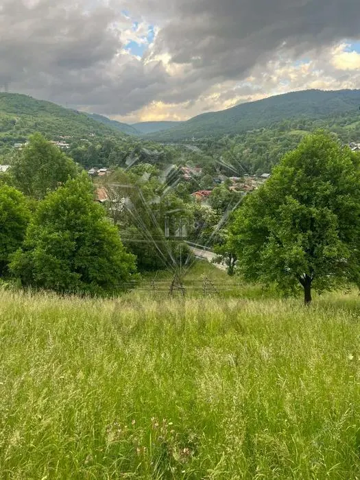 TEREN DE VANZARE VALEA DOFTANEI - foto 7