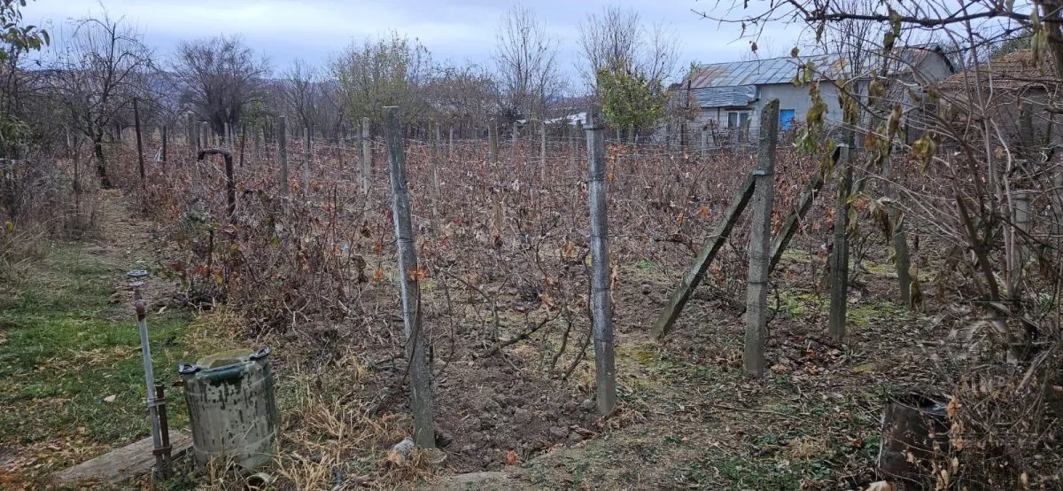 TEREN MEHEDINTA PRAHOVA - foto 2