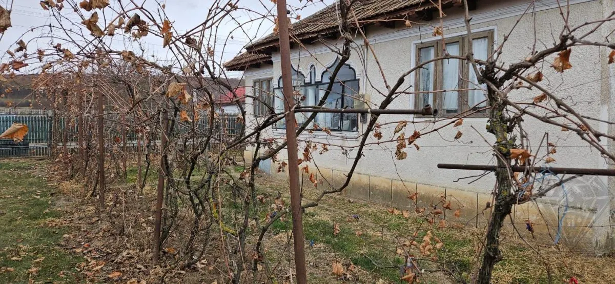 TEREN MEHEDINTA PRAHOVA - foto 4