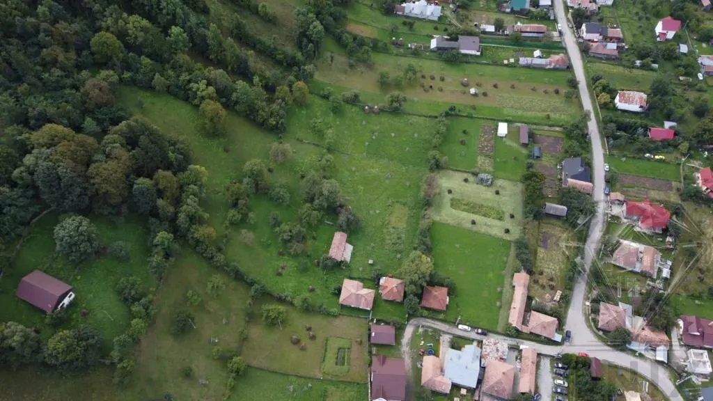 TEREN VALEA DOFTANEI - foto 8
