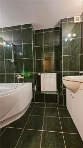 Apartament 3 camere Centrul Civic,renovat,vedere Tampa,158000 Euro - foto 11