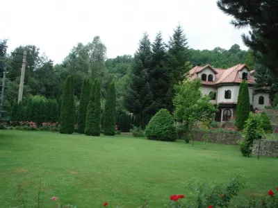 Campina Valea Doftanei Sotrile Paltinu - foto 2