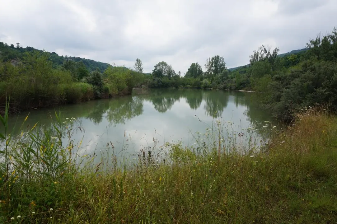 Campina Valea Doftanei Sotrile Paltinu - foto 13