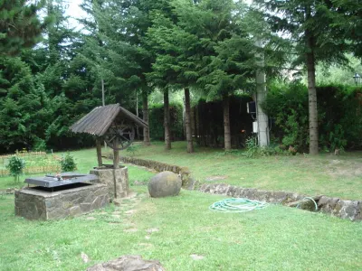 Campina Valea Doftanei Sotrile Paltinu - foto 19