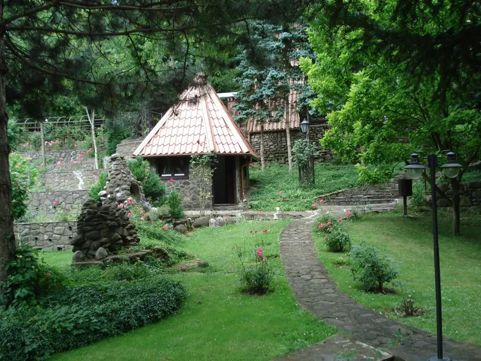 Campina Valea Doftanei Sotrile Paltinu - foto 21