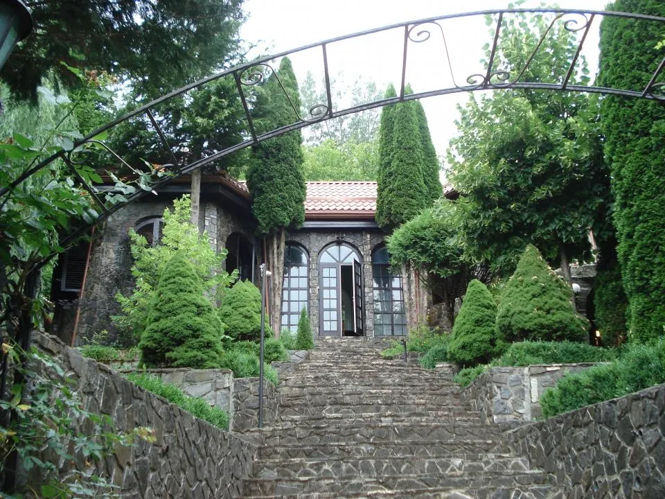 Campina Valea Doftanei Sotrile Paltinu - foto 23