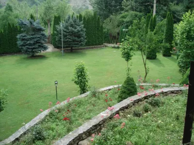 Campina Valea Doftanei Sotrile Paltinu - foto 29