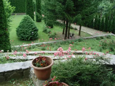 Campina Valea Doftanei Sotrile Paltinu - foto 32