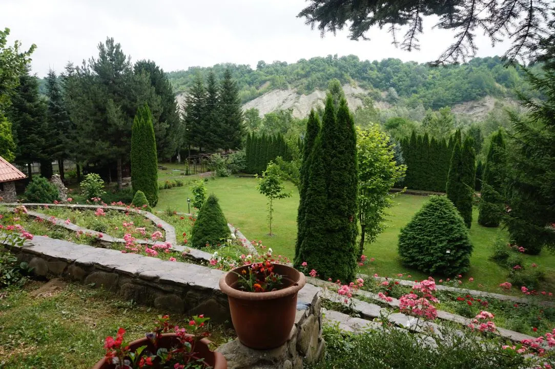 Campina Valea Doftanei Sotrile Paltinu - foto 5