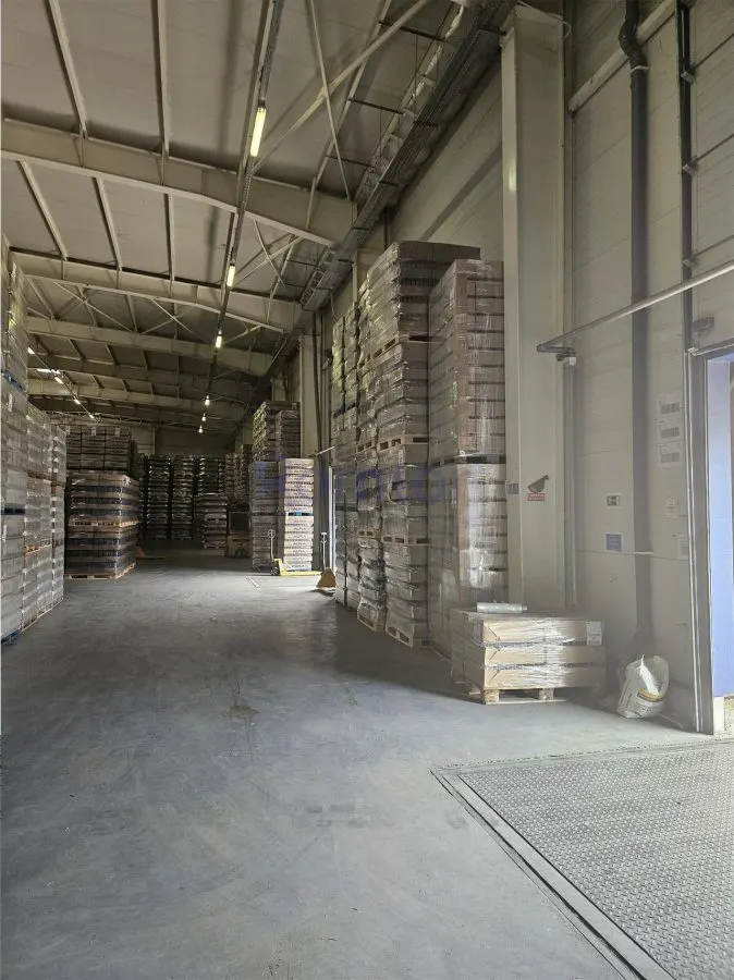 Zona Est - A2 - Pantelimon - sos Centura spatiu depozitare,logistic, ISU clasa C - foto 9