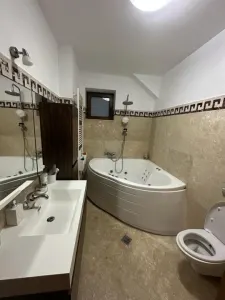 Pantelimon-Cernica, vila cu 6 camere de vanzare, 284 mp construiti - foto 10