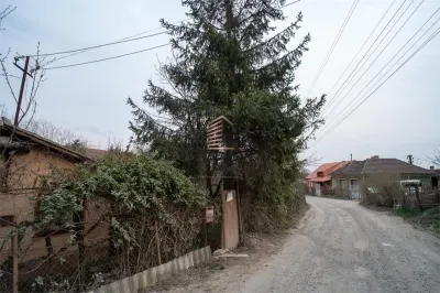 Teren intravilan de 900 mp, Podgoria - foto 4