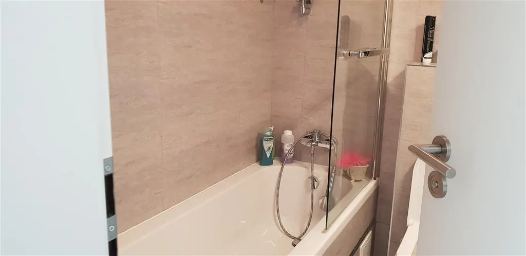 Vanzare  apartament  2 camere Ploiesti, zona Albert - foto 4