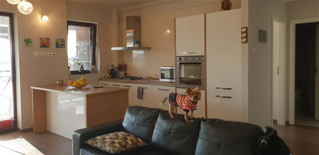 Vanzare  apartament  2 camere Ploiesti, zona Albert - foto 9