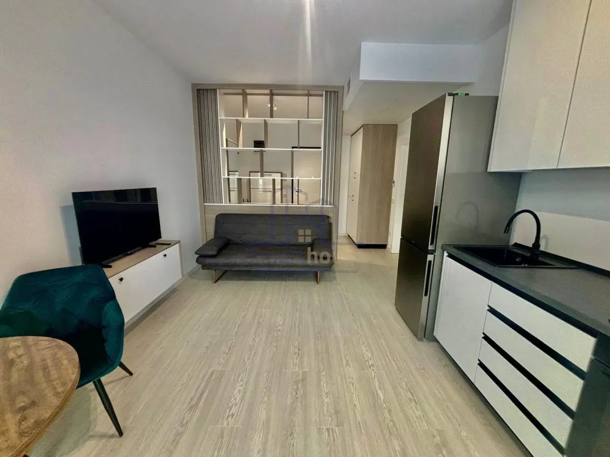 Inchiriere studio, prima inchiriere , loc de parcare Paulesti - foto 16