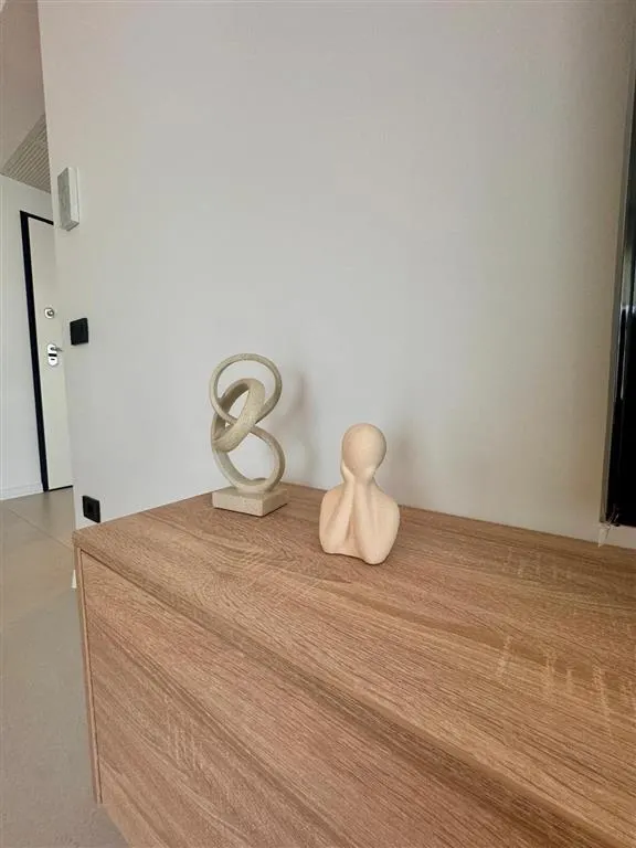 Inchiriere apartamet 2 camere bloc nou, Paulesti - foto 13