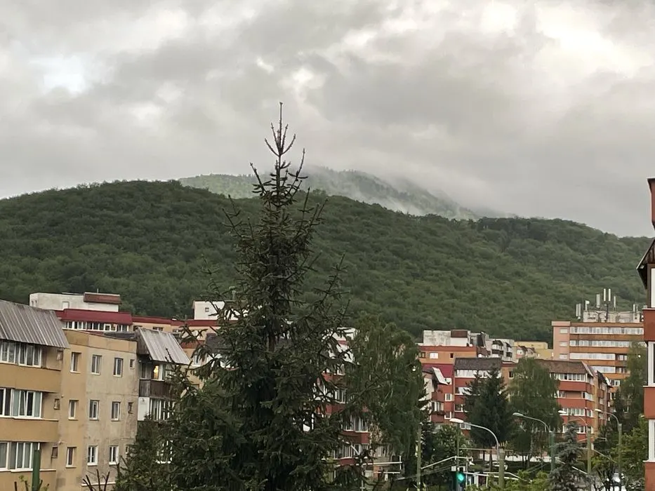 Apartament 2 camere Racadau,decomandat,etaj intermediar,120000 Euro neg - foto 7