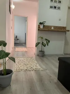 Apartament 3 camere Craiter,renovat 135000 Euro - foto 12