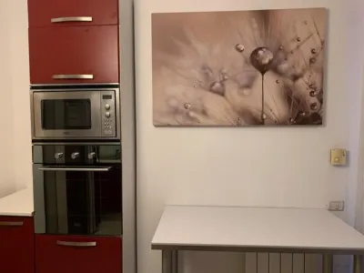 Herastrau-Nordului, apartament cu 3 camere de vanzare, 237 mp construiti - foto 8