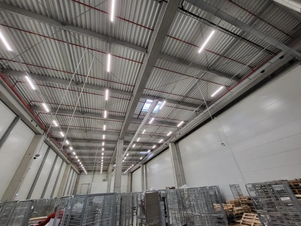 Spatii logistica - foto 4