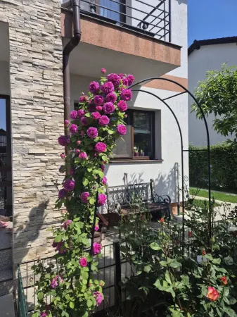 Casă 4 camere Sânpetru - poza 1