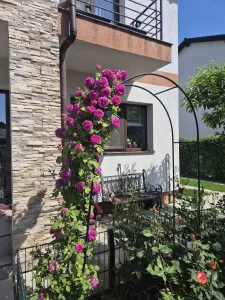 Casa tip duplex Sanpetru,lux,mobilata.210000 Euro - foto 1