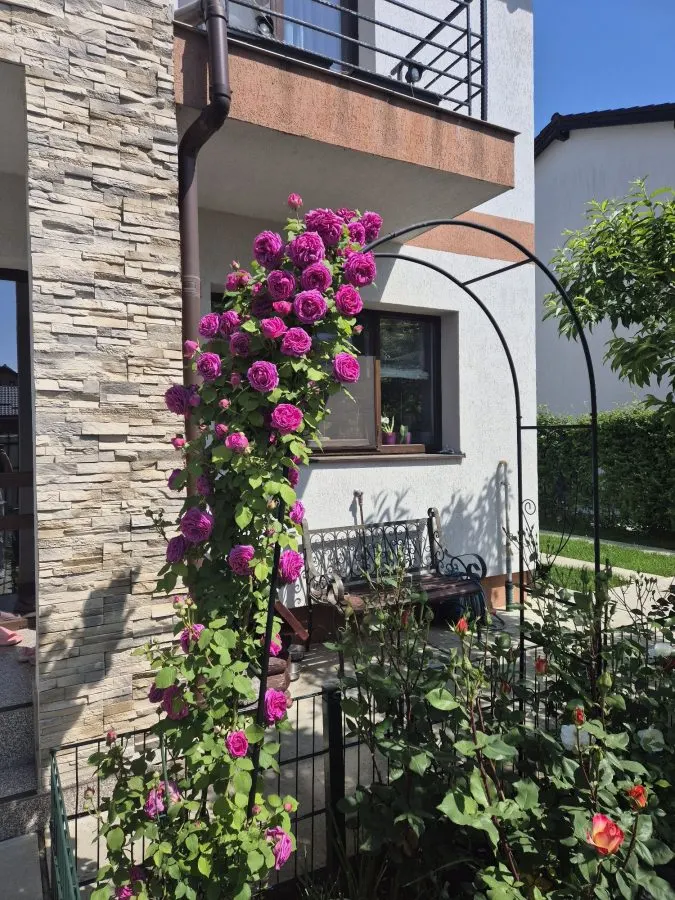 Casa tip duplex Sanpetru,lux,mobilata.210000 Euro - foto 1