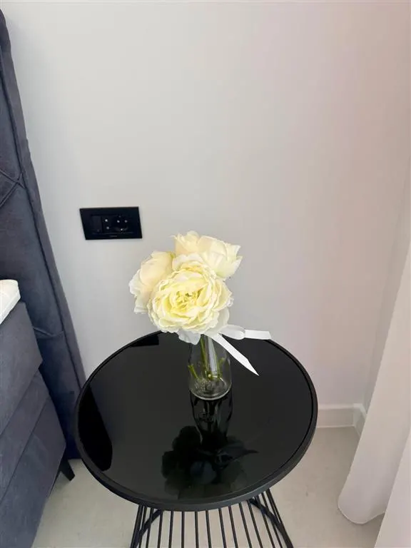 Vanzare apartamet 2 camere bloc nou, Paulesti - foto 18