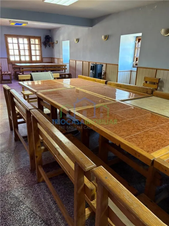 Spatiu comercial comuna Ostroveni - foto 2