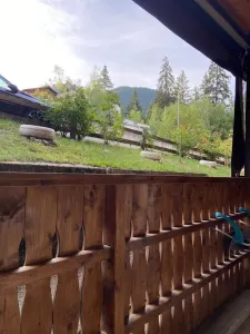 Studio de vacanta , Poiana Brasov,74000 Euro - foto 8