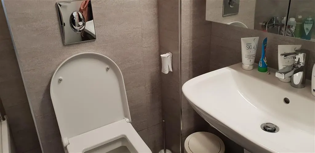 Inchiriere  apartament  2 camere Ploiesti, zona Albert - foto 6
