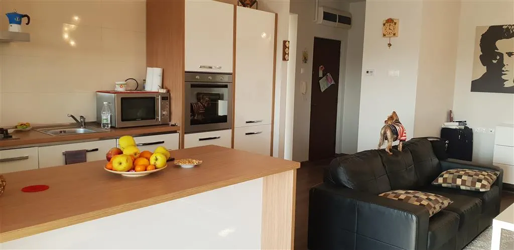 Inchiriere  apartament  2 camere Ploiesti, zona Albert - foto 7