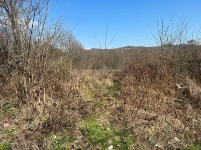 Vanzare teren intravilan, Scorteni, judetul Prahova - foto 6