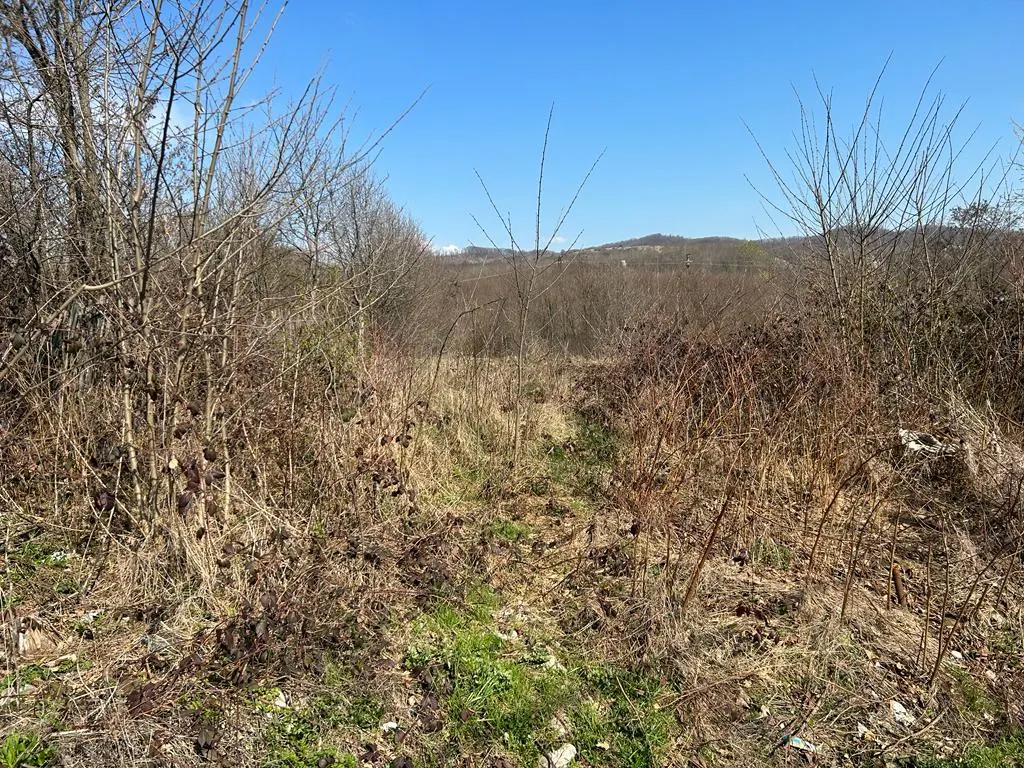 Vanzare teren intravilan, Scorteni, judetul Prahova - foto 6