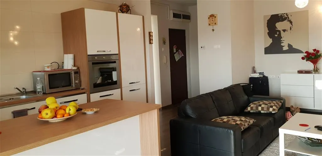Inchiriere apartament  2 camere Ploiesti, zona Albert - foto 2