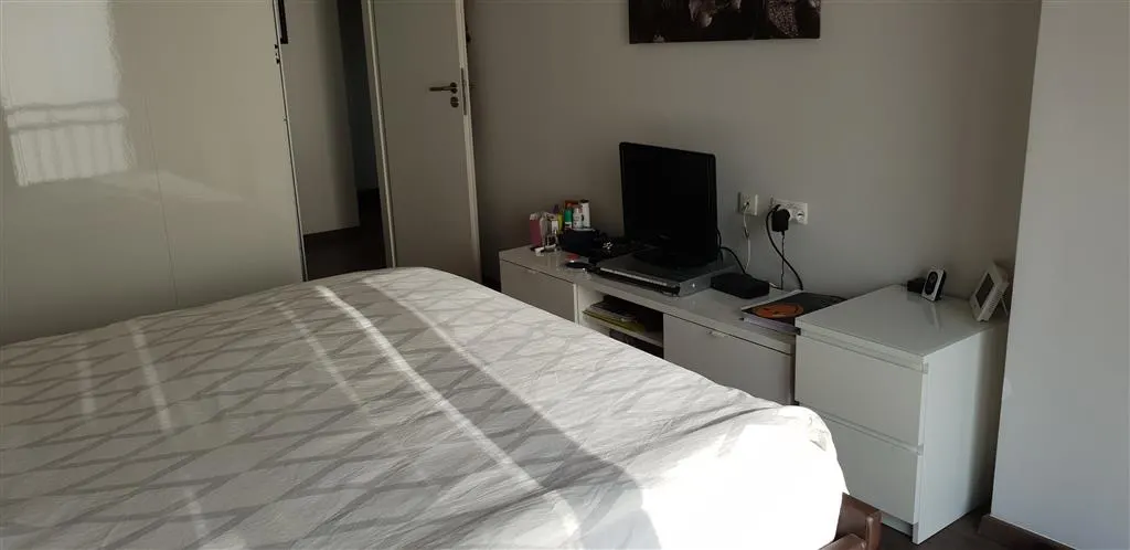 Inchiriere apartament  2 camere Ploiesti, zona Albert - foto 11