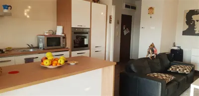 Inchiriere apartament  2 camere Ploiesti, zona Albert - foto 7